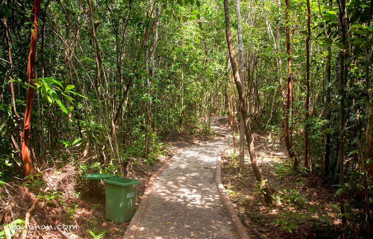 Hutan adat terjaga