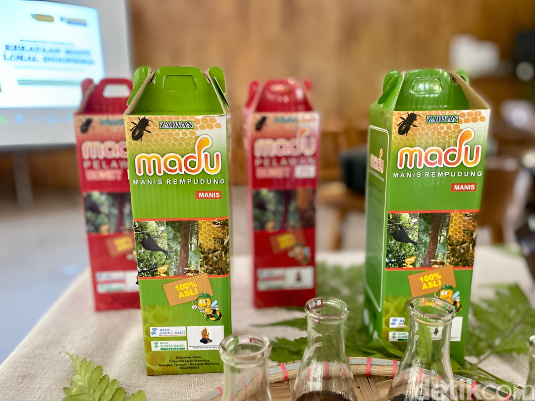 Madu pahit pelawan